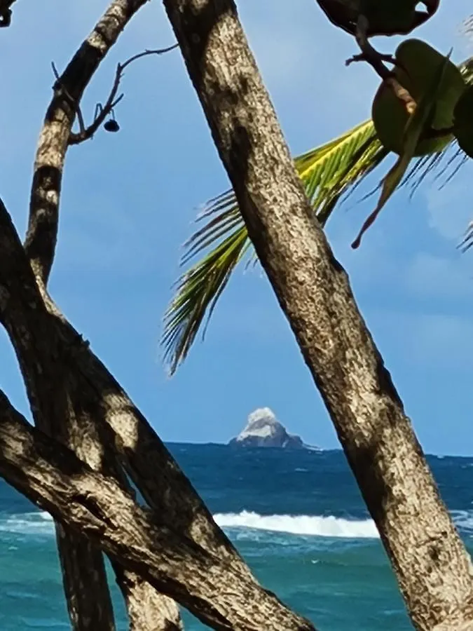 Studio Des Flots - Tartane Martinique La Trinite