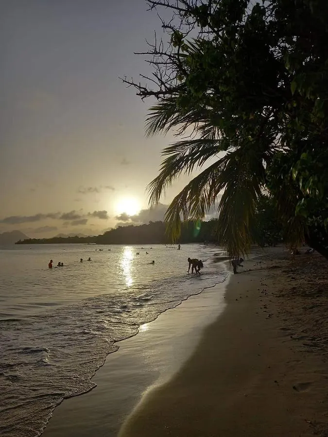Studio Des Flots - Tartane Martinique Trinité  Trinité (Tartane)